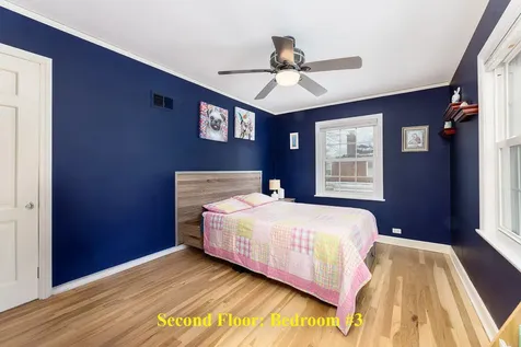 259 Cornell Avenue Des Plaines IL 60016