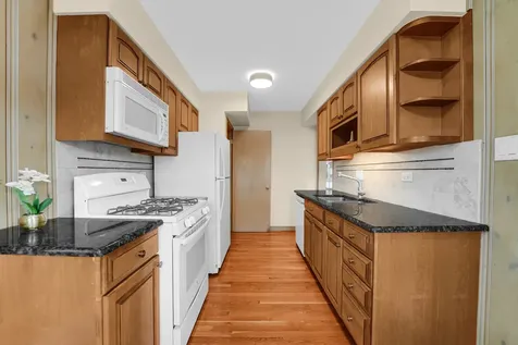 1604 South Greenwood Avenue Park Ridge IL 60068