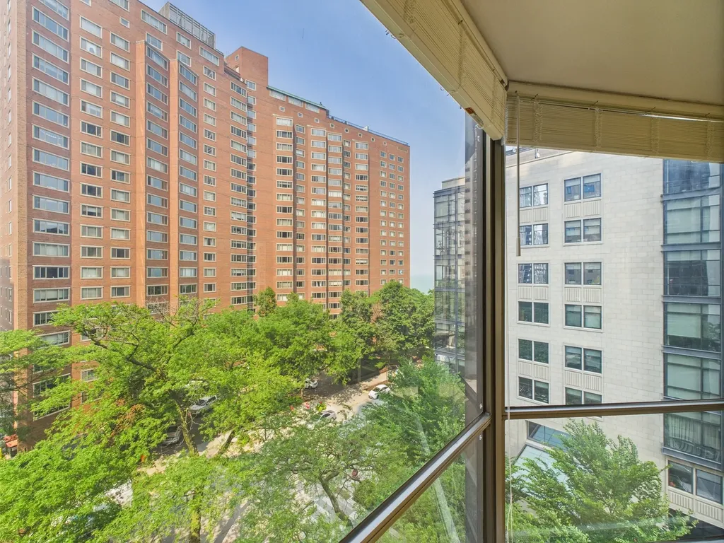 1310 North Ritchie Court Chicago IL 60610