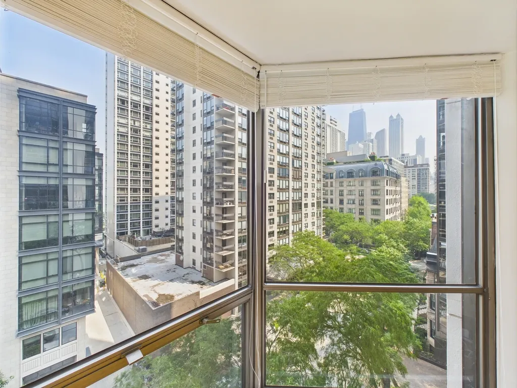 1310 North Ritchie Court Chicago IL 60610