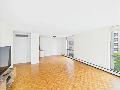 1310 North Ritchie Court Chicago IL 60610