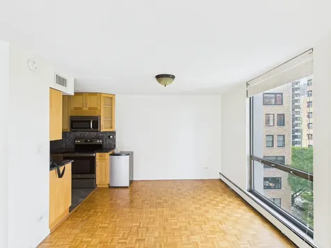 1310 North Ritchie Court Chicago IL 60610
