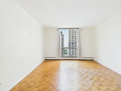 1310 North Ritchie Court Chicago IL 60610