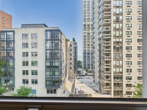 1310 North Ritchie Court Chicago IL 60610