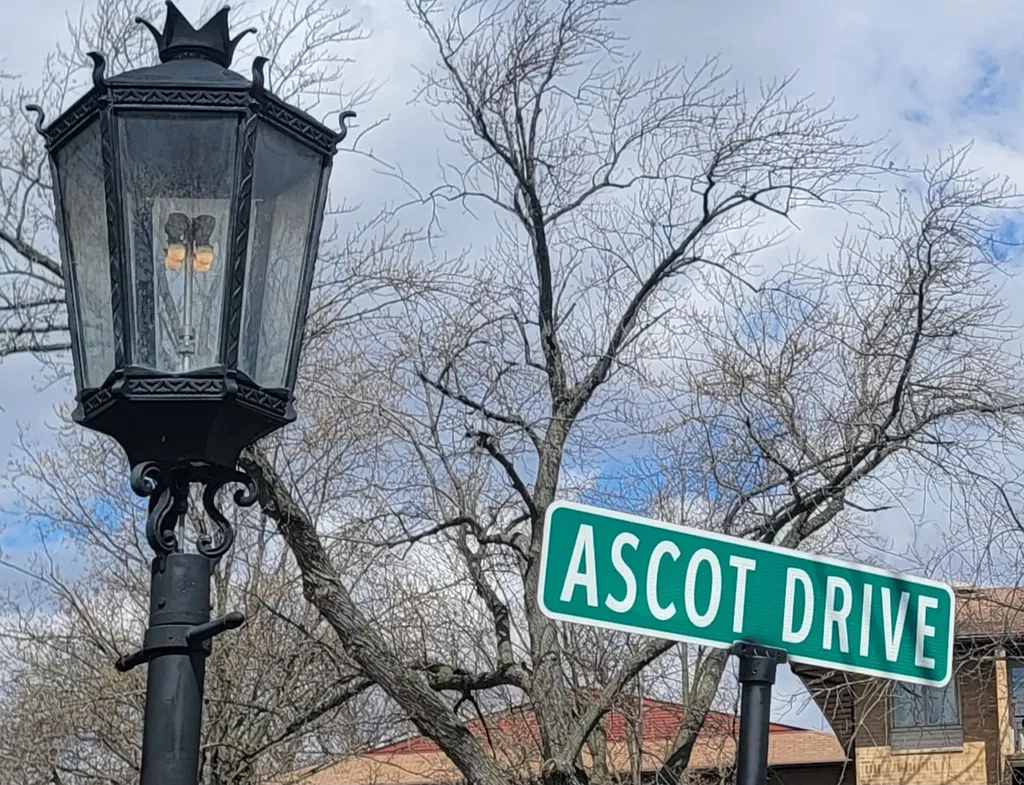 400 Ascot Drive Park Ridge IL 60068
