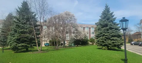 400 Ascot Drive Park Ridge IL 60068