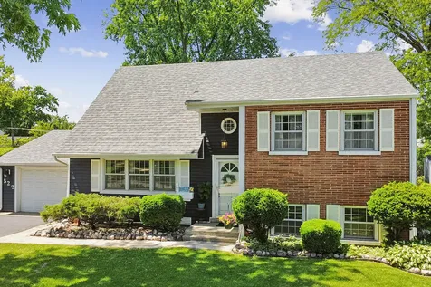 523 West Winchester Road Chicago Heights IL 60411