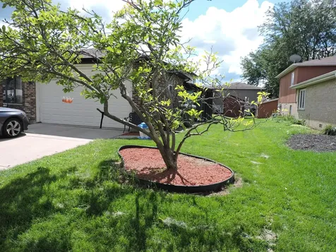 6931 Coachwood Trail Tinley Park IL 60477