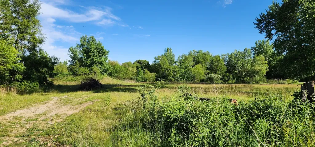 574 Caleb Road Braidwood IL 60408