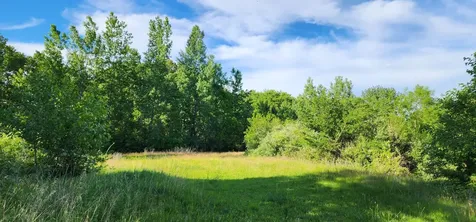 574 Caleb Road Braidwood IL 60408