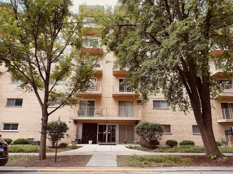 115 Marengo Avenue Forest Park IL 60130