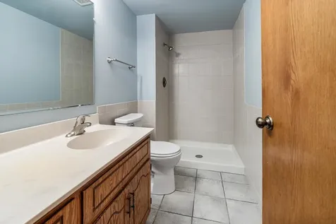 13437 Arabian Drive Homer Glen IL 60491