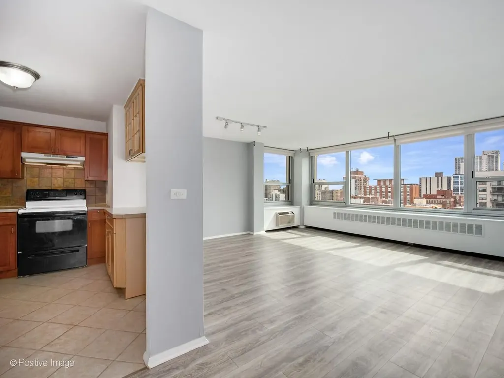 1255 North Sandburg Terrace Chicago IL 60610