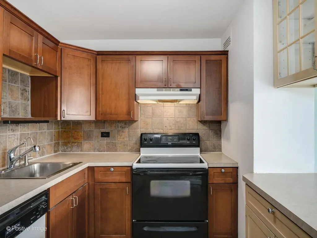 1255 North Sandburg Terrace Chicago IL 60610