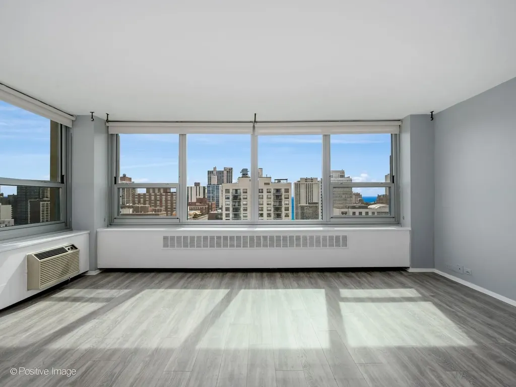 1255 North Sandburg Terrace Chicago IL 60610