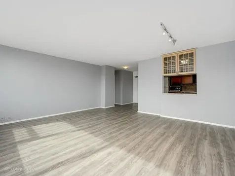 1255 North Sandburg Terrace Chicago IL 60610