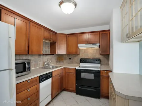 1255 North Sandburg Terrace Chicago IL 60610
