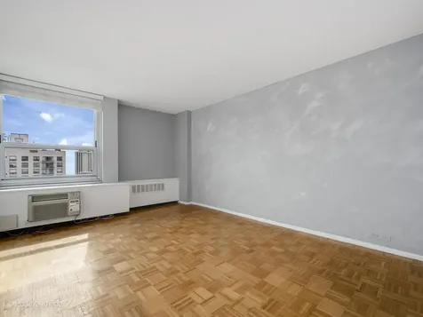 1255 North Sandburg Terrace Chicago IL 60610