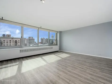 1255 North Sandburg Terrace Chicago IL 60610