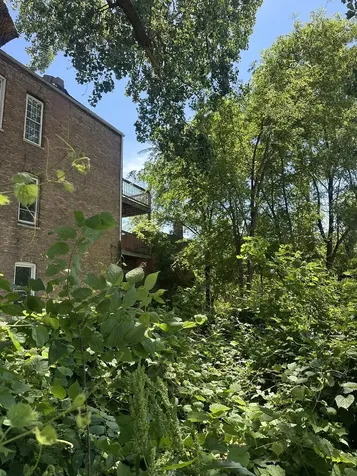 927 West Cullerton Street Chicago IL 60608