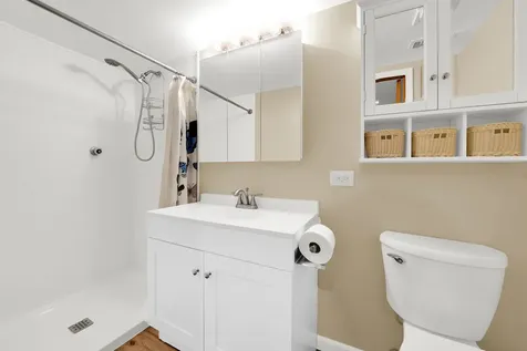 10732 South Meadow Lane Palos Hills IL 60465