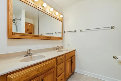 1240 117TH Street Lemont IL 60439