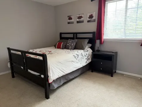 717 Hidden Creek Lane North Aurora IL 60542