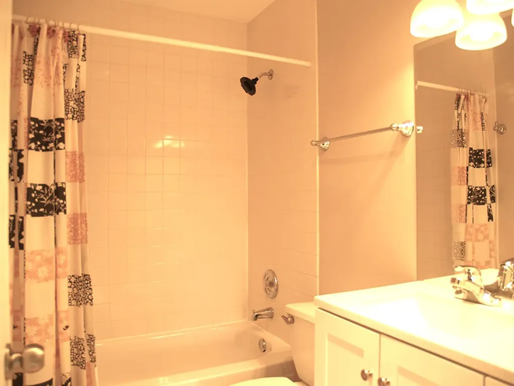 381 Park Ridge Lane Aurora IL 60504
