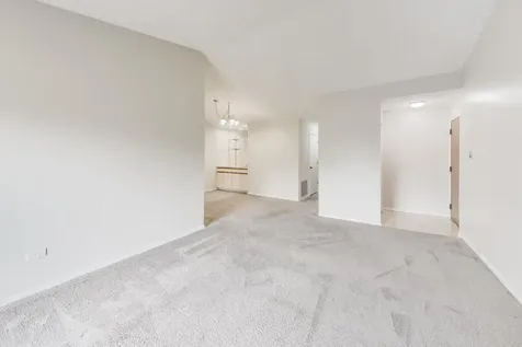 426 Elizabeth Drive Wood Dale IL 60191