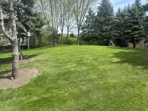 211 Monarch Drive Streamwood IL 60107