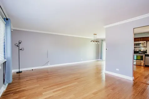 1481 Chaffee Court Elk Grove Village IL 60007