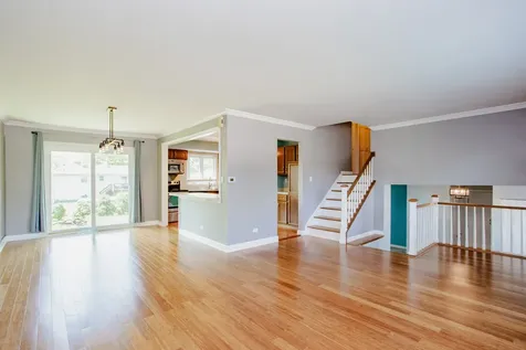 1481 Chaffee Court Elk Grove Village IL 60007