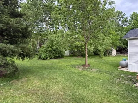 156 Smallmouth Lane Wilmington IL 60481