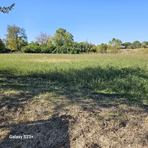 6857 Ellis Avenue Long Grove IL 60047