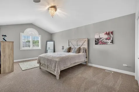 16163 Alissa Court Homer Glen IL 60491