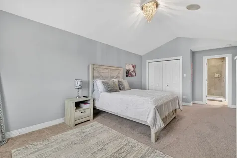 16163 Alissa Court Homer Glen IL 60491