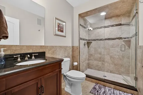 16163 Alissa Court Homer Glen IL 60491