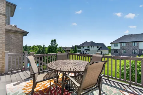 16163 Alissa Court Homer Glen IL 60491