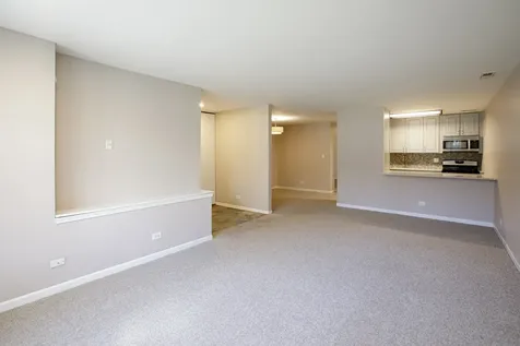 828 South Bell Avenue Chicago IL 60612