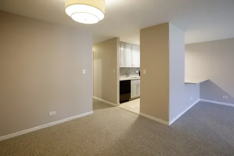 828 South Bell Avenue Chicago IL 60612