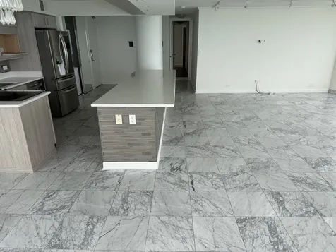 505 North Lake Shore Drive Chicago IL 60611