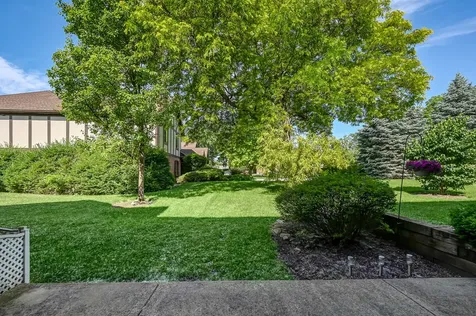 11212 Cottonwood Drive Palos Hills IL 60465
