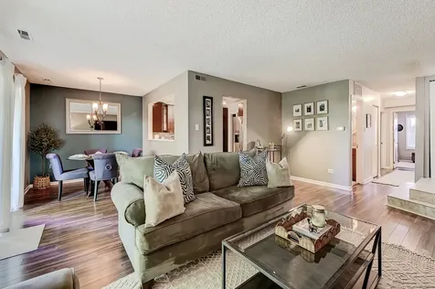 11212 Cottonwood Drive Palos Hills IL 60465