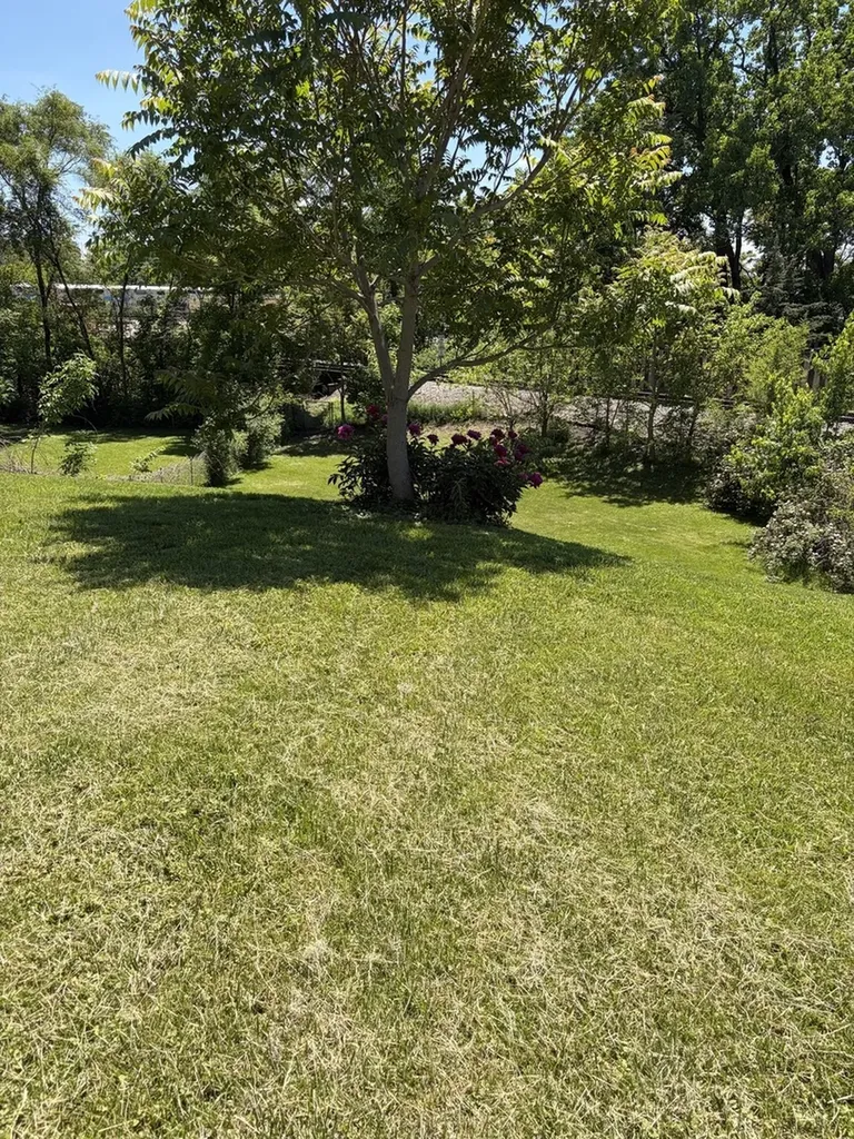 315 Pierce Street Aurora IL 60505