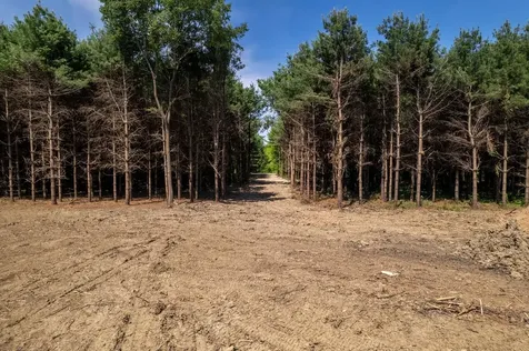 Burr Oak Road Capron IL 61012