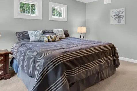 1045 Magnolia Lane Naperville IL 60540