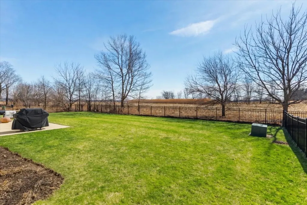 26009 West Forrester Drive Plainfield IL 60585