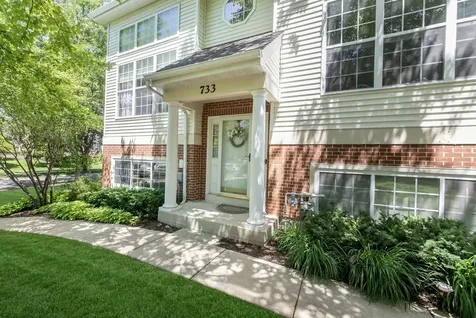 733 Pheasant Trail St. Charles IL 60174