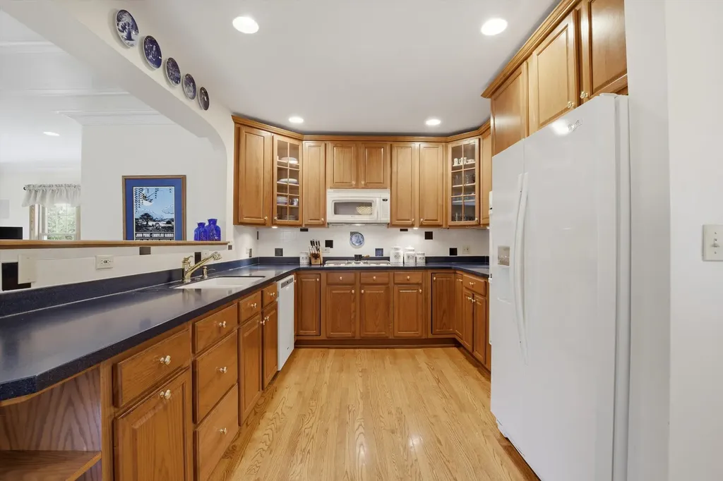 708 South Vine Avenue Park Ridge IL 60068