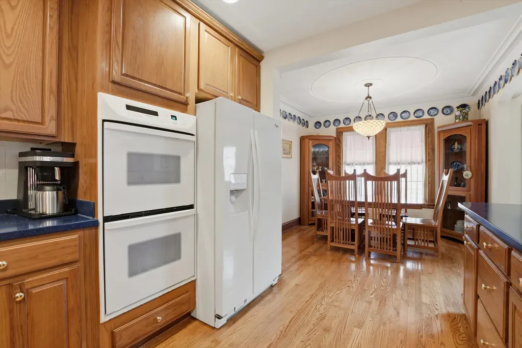 708 South Vine Avenue Park Ridge IL 60068